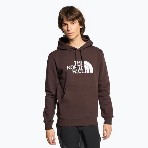 Pánská mikina The North Face Drew Peak Pullover Hoodie coal brown