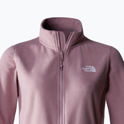 Dámská fleecová mikina The North Face 100 Glacier Fz fawn grey