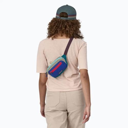 Kapsička ledvinka Patagonia Ultralight Black Hole Mini Hip Pack 1 l patchwork/belay blue