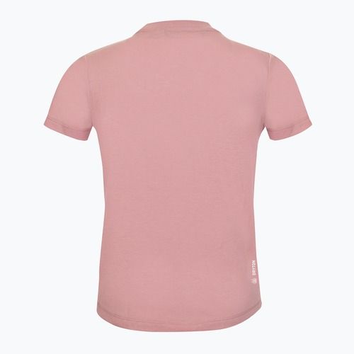 Dětské trekové tričko Salewa Graphic Dry zephyr