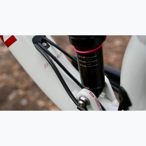 Horské kolo Marin Rift Zone 2 29 gloss grey/red