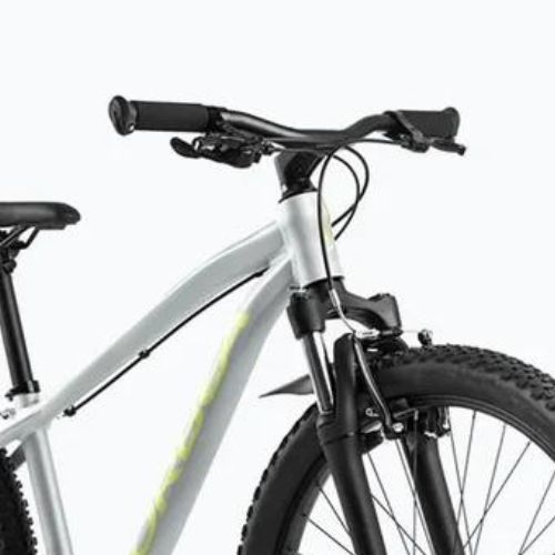 Dětské kolo  Orbea MX 24 XC 2024 silver/spicy lime