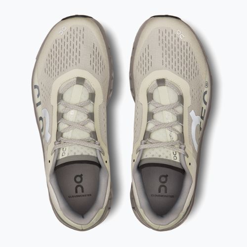 Pánské běžecké boty On Cloudmonster ice/alloy