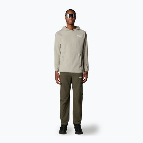 Pánská mikina The North Face 100 Glacier Hoodie clay grey