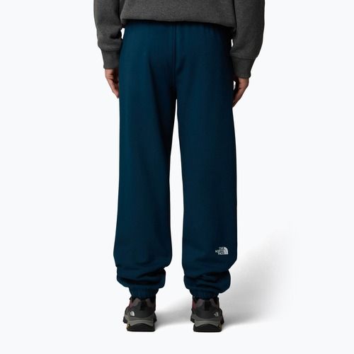 Pánské kalhoty  The North Face Varsity Graphic midnight petrol