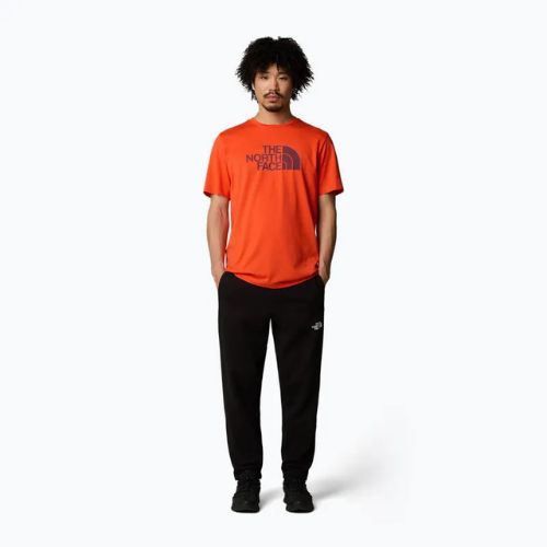 Pánské tričko The North Face Easy crimson orange/alpine plum