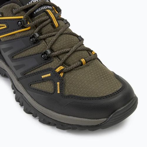 Pánské turistické boty The North Face Hedgehog Gore-Tex new taupe green/black