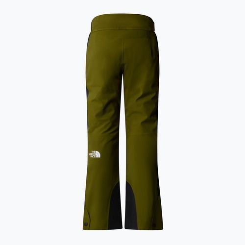 Dámské lyžařské kalhoty The North Face Lenado Short forest olive/black