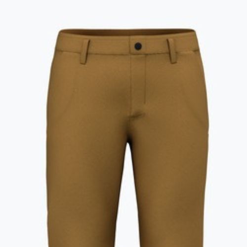 Pánské trekingové kalhoty Salewa Fanes Hemp golden brown