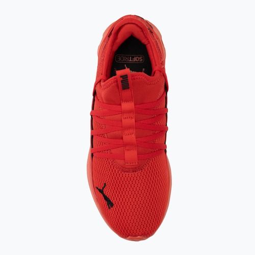 Běžecké boty PUMA Softride Carson Fresh for all time red/puma black