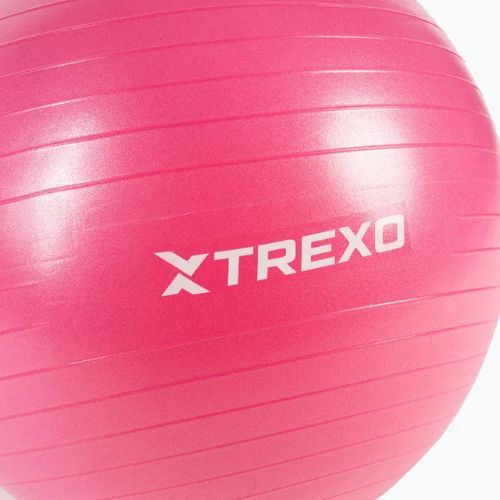 Gymnastický míč TREXO TXO-B4Z007-PK 55 cm pink