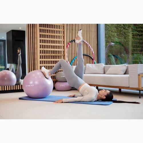 Gymnastický míč XTREXO TXO-B4Z008-VT 65 cm violet