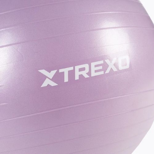 Gymnastický míč TREXO TXO-B4Z008-VT 65 cm violet