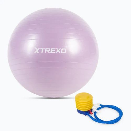 Gymnastický míč TREXO TXO-B4Z008-VT 65 cm violet