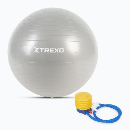 Gymnastický míč TREXO TXO-B4Z008-GY 65 cm grey 