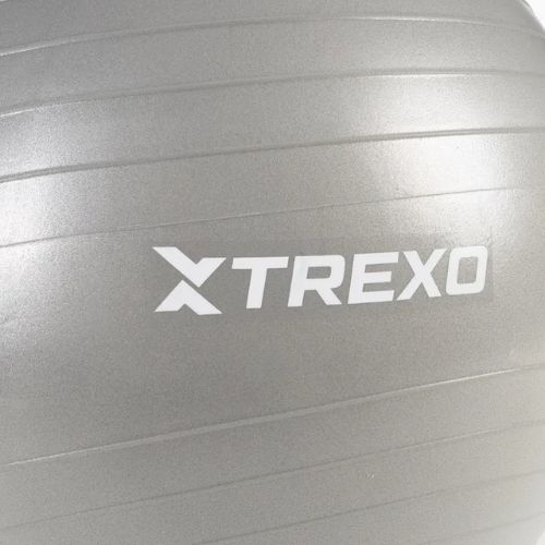 Gymnastický míč TREXO TXO-B4Z008-GY 65 cm grey 