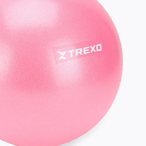 Mini gymnastický míč TREXO TXO-B4Z010-PK 20 cm pink