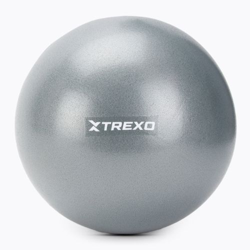 Mini gymnastický míč TREXO TXO-B4Z010-GY 20 cm grey