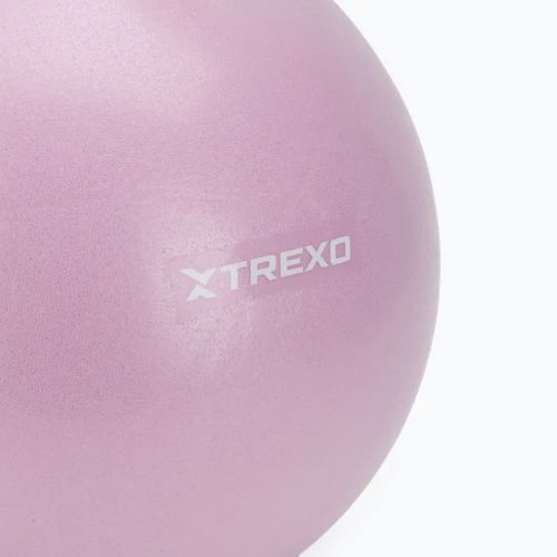 Mini gymnastický míč TREXO TXO-B4Z011-VT 25 cm violet