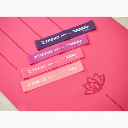 Sada posilovacích gum TREXO Mini Power Band TXO-B4Z053-ALL 5 szt. vícebarevná