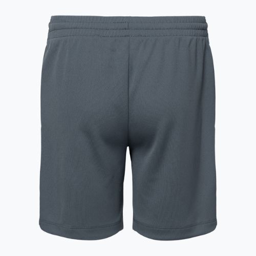 Dětské šortky Nike Dri-Fit Multi smoke grey/white