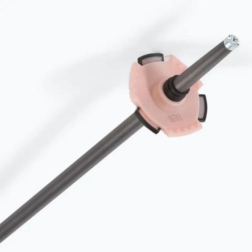 Lyžařské hole Salomon Polar Pro rose gold