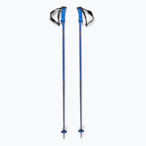 Lyžařské hole Salomon Polar Pro race blue