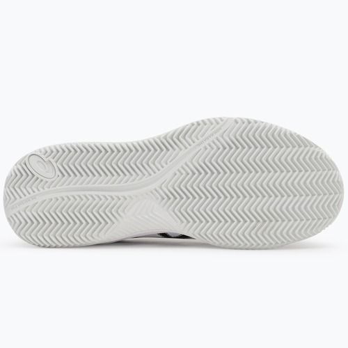 Pánské tenisové boty ASICS Gel-Dedicate 8 Clay white/black