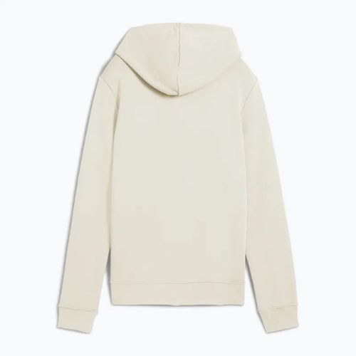 Dámská mikina  PUMA ESS No. 1 Logo Hoodie TR alpine snow