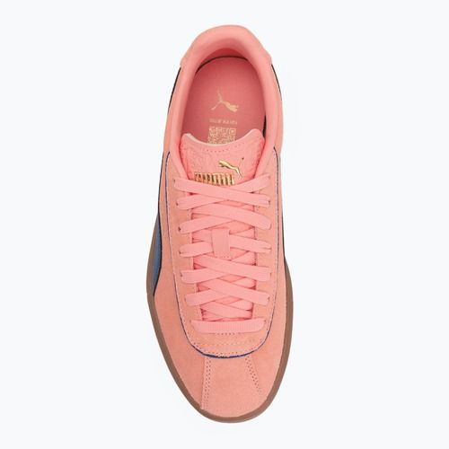 Dámské boty PUMA Club Klassika Suede pink fruit/blazing blue/puma gold