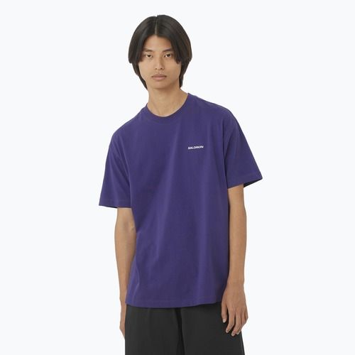 Pánské tričko Salomon Logo RX Tee astral