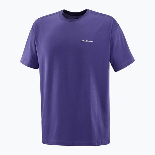 Pánské tričko Salomon Logo RX Tee astral