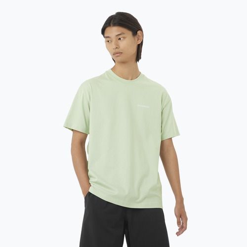 Pánské tričko Salomon Logo RX Tee sea foam