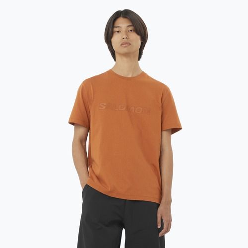 Pánské tričko Salomon Big Logo Tee sierra