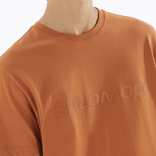 Pánské tričko Salomon Big Logo Tee sierra