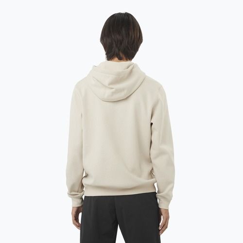 Pánská mikina Salomon Logo Hoodie rainy day