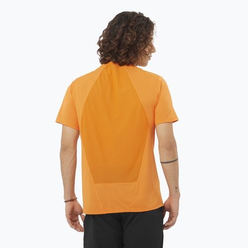 Pánské tričko Salomon Outline Tee turmeric