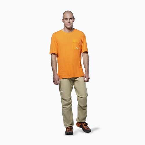 Pánské trekové tričko Salewa Agner Hemp/Dst turmeric