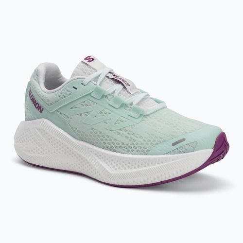 Dámské běžecké boty Salomon Aero Glide 3 bay/white/wilowherb