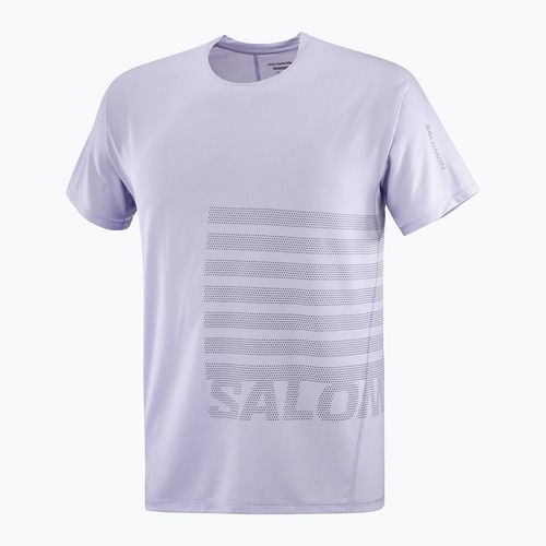 Pánské běžecké tričko Salomon Sense Aero Tee GFX cosmic sky/castlerock