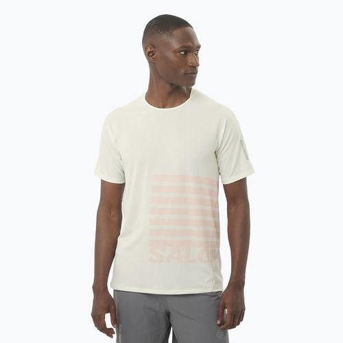 Pánské běžecké tričko Salomon Sense Aero Tee GFX icicle/neon flame