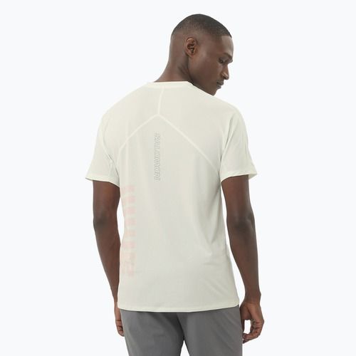 Pánské běžecké tričko Salomon Sense Aero Tee GFX icicle/neon flame