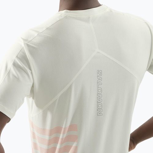 Pánské běžecké tričko Salomon Sense Aero Tee GFX icicle/neon flame