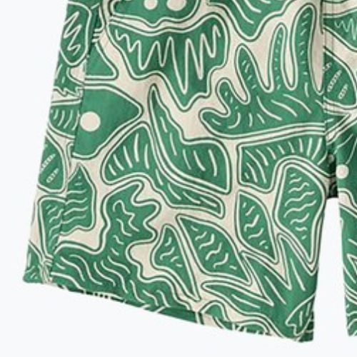 Dámské šortky Patagonia Baggies 5" včely a květy/heartleaf green