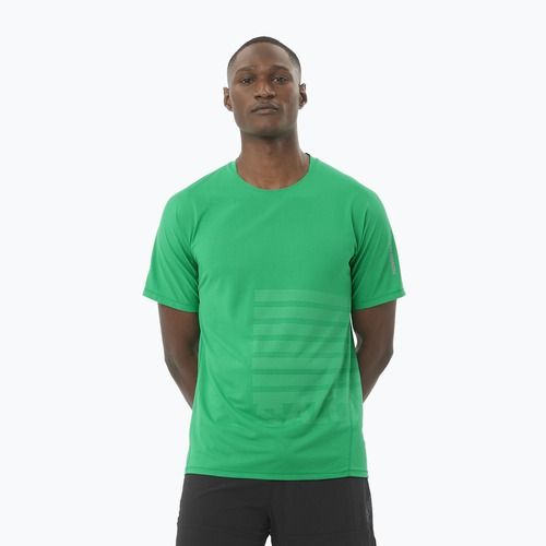 Pánské běžecké tričko Salomon Sense Aero Tee GFX parakeet / spearmintme