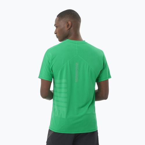 Pánské běžecké tričko Salomon Sense Aero Tee GFX parakeet / spearmintme