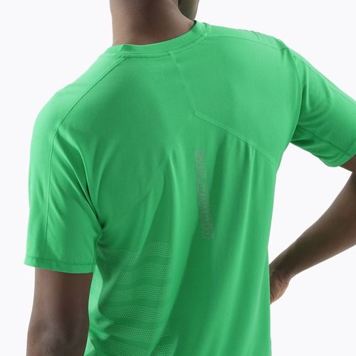 Pánské běžecké tričko Salomon Sense Aero Tee GFX parakeet / spearmintme