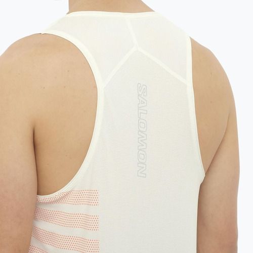 Pánské běžecké tílko Salomon Sense Aero Singlet GFX icicle