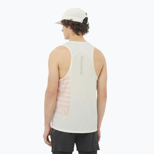 Pánské běžecké tílko Salomon Sense Aero Singlet GFX icicle