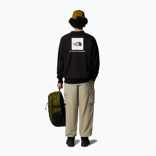 Pánská mikina The North Face Raglan Box Nse Crew tnf black
